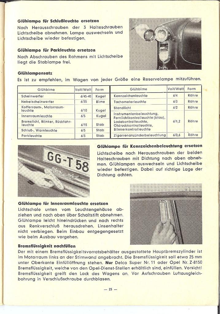 3516838128_978123cd71_b.jpg
