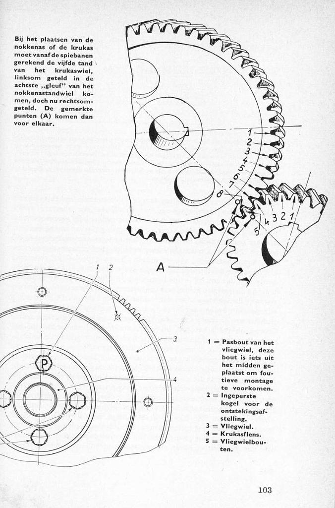 P103.JPG