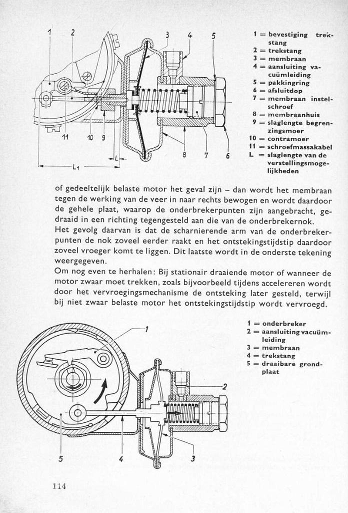 P114.JPG