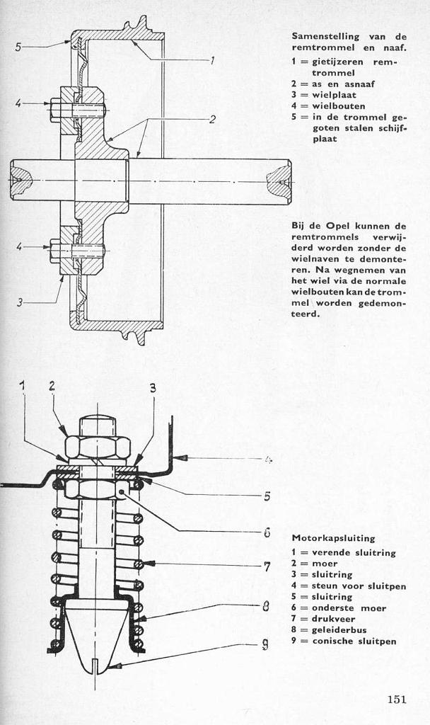 P151.JPG